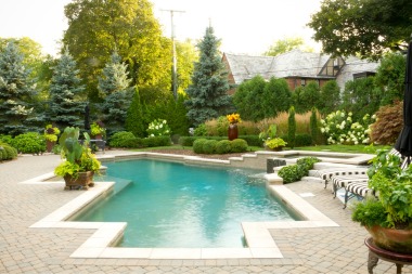 Paver coping framing a freeform pool